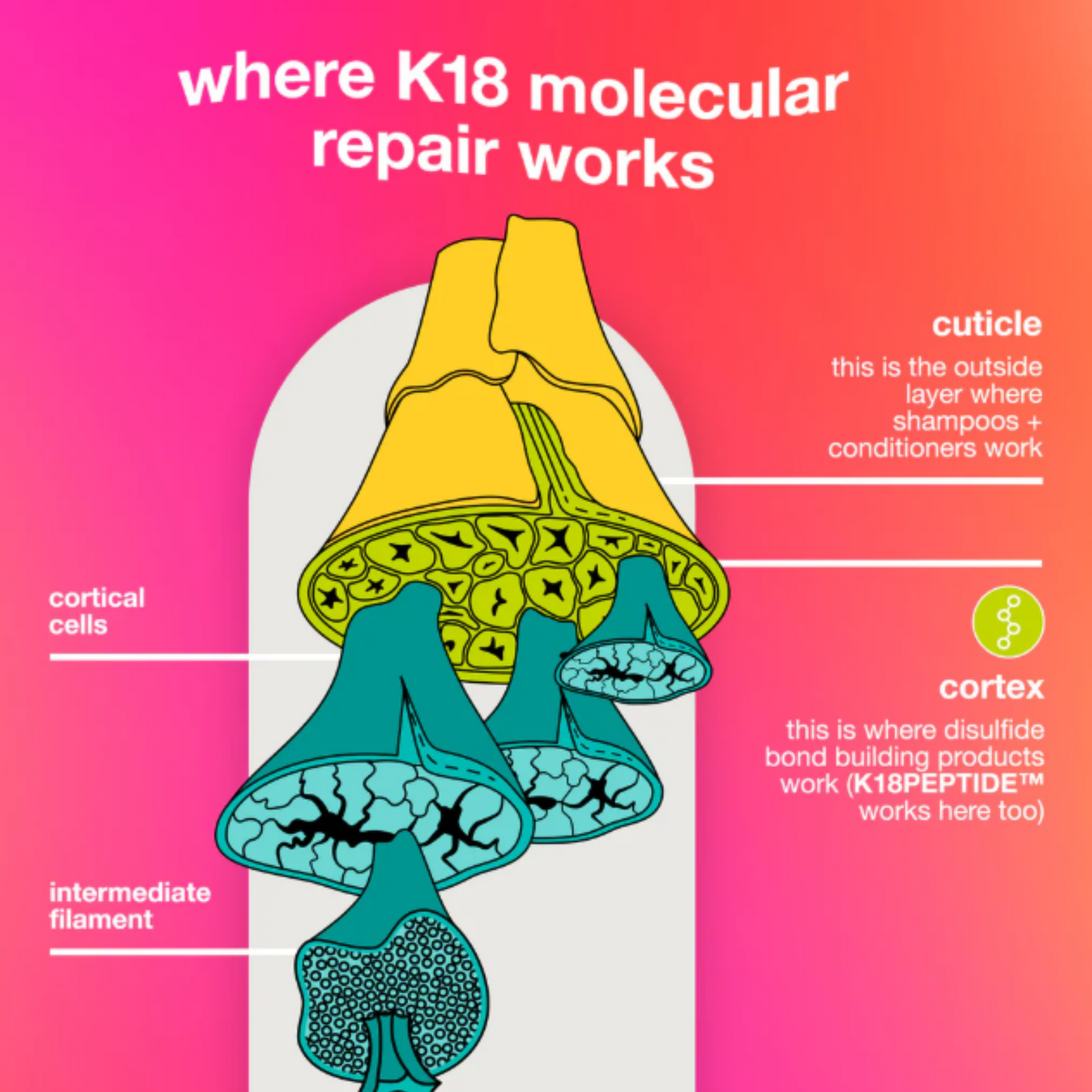 ماسك اصلاح الشعر K18